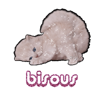 un chatton